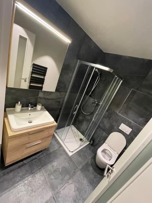 Apartman Harmonie - Sumava Frischwinkel Zewnętrze zdjęcie